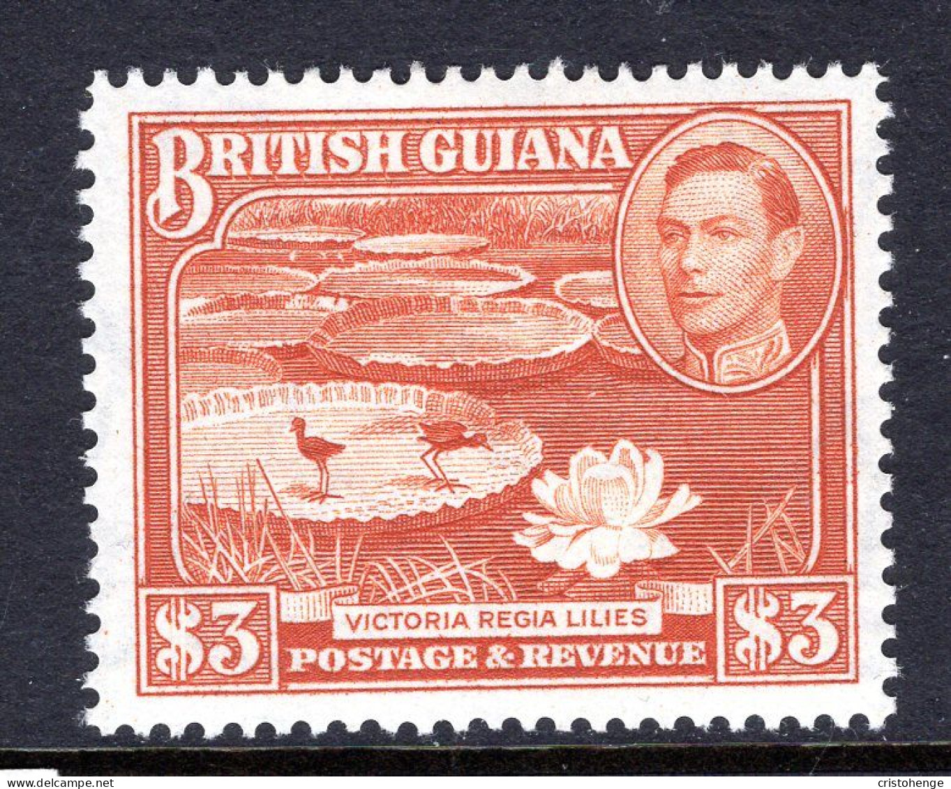 British Guiana 1938-52 KGVI Pictorials - $3 Water Lilies - P.14 X 13 HM (SG 319b) - Guayana Británica (...-1966)