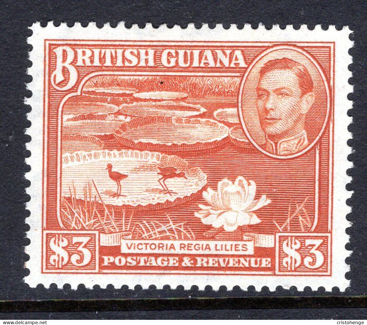 British Guiana 1938-52 KGVI Pictorials - $3 Water Lilies - P.14 X 13 HM (SG 319b) - British Guiana (...-1966)