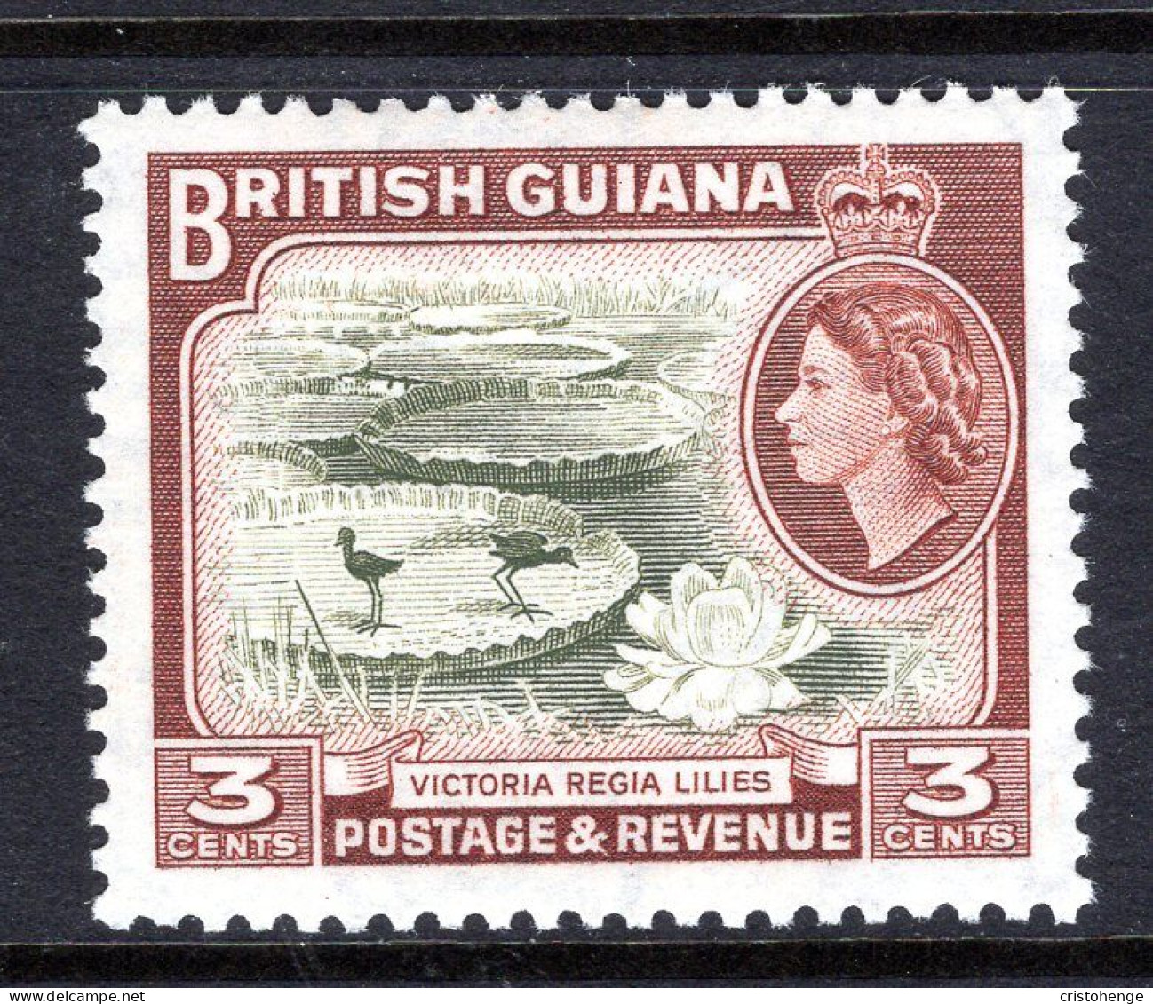 British Guiana 1954-63 QEII Pictorials - 3c Water Lilies MNH (SG 333) - Guyane Britannique (...-1966)