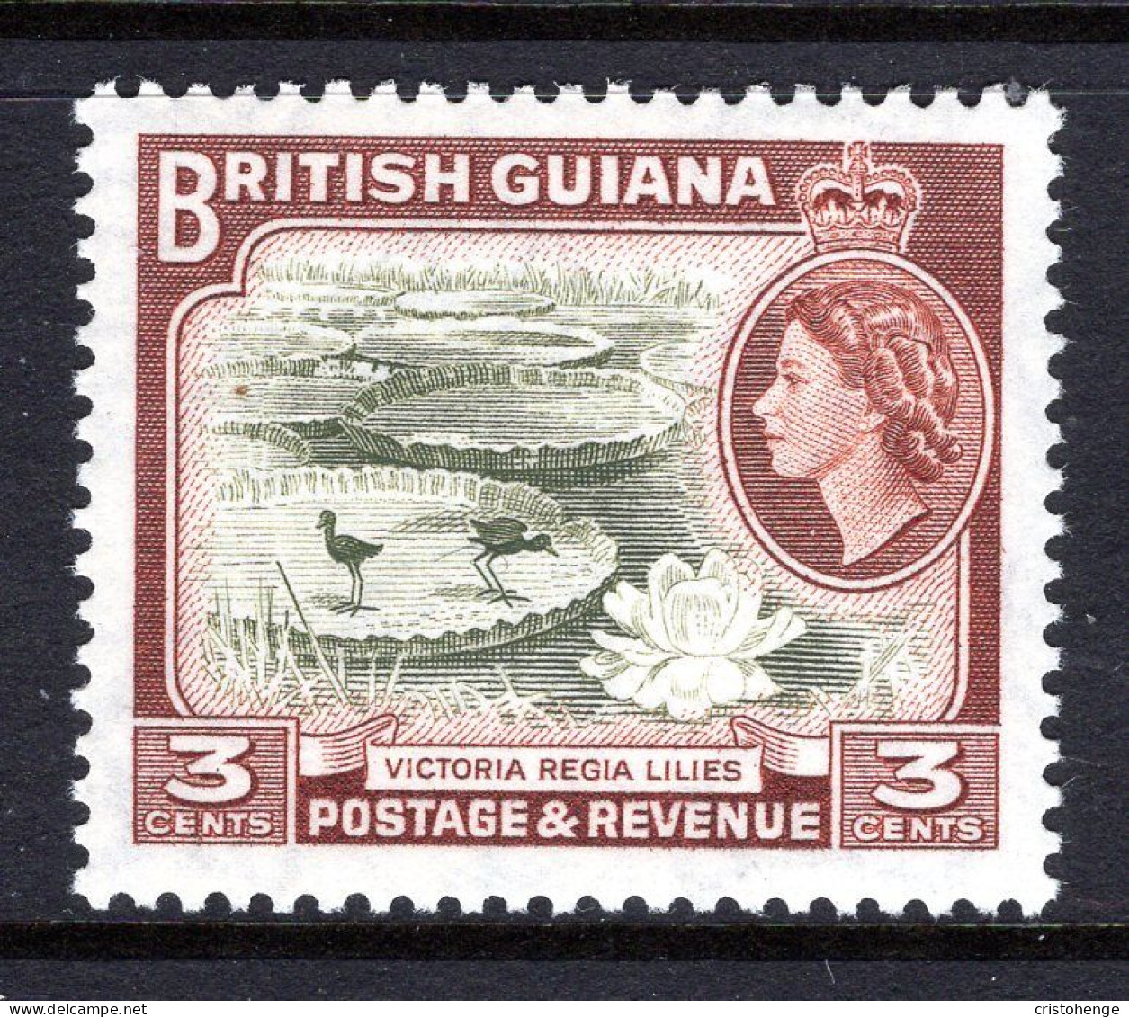 British Guiana 1954-63 QEII Pictorials - 3c Water Lilies MNH (SG 333) - Guyana Britannica (...-1966)