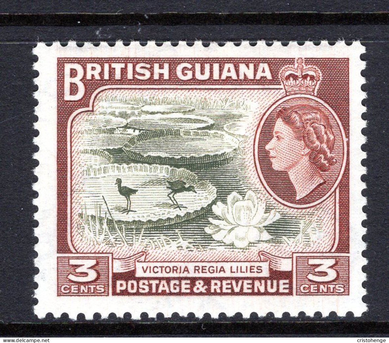 British Guiana 1954-63 QEII Pictorials - 3c Water Lilies HM (SG 333) - Guyane Britannique (...-1966)