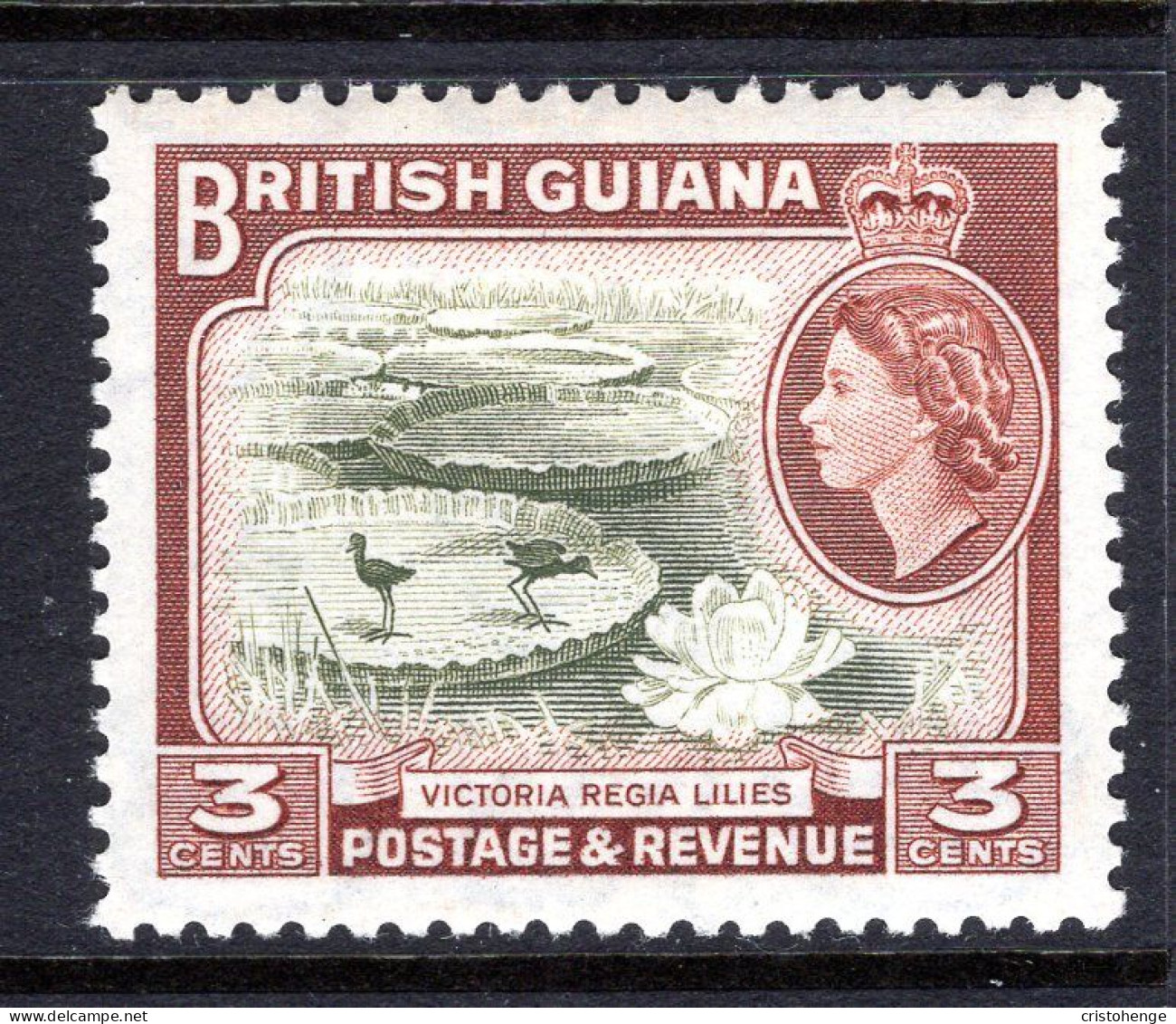 British Guiana 1954-63 QEII Pictorials - 3c Water Lilies HM (SG 333) - Guayana Británica (...-1966)