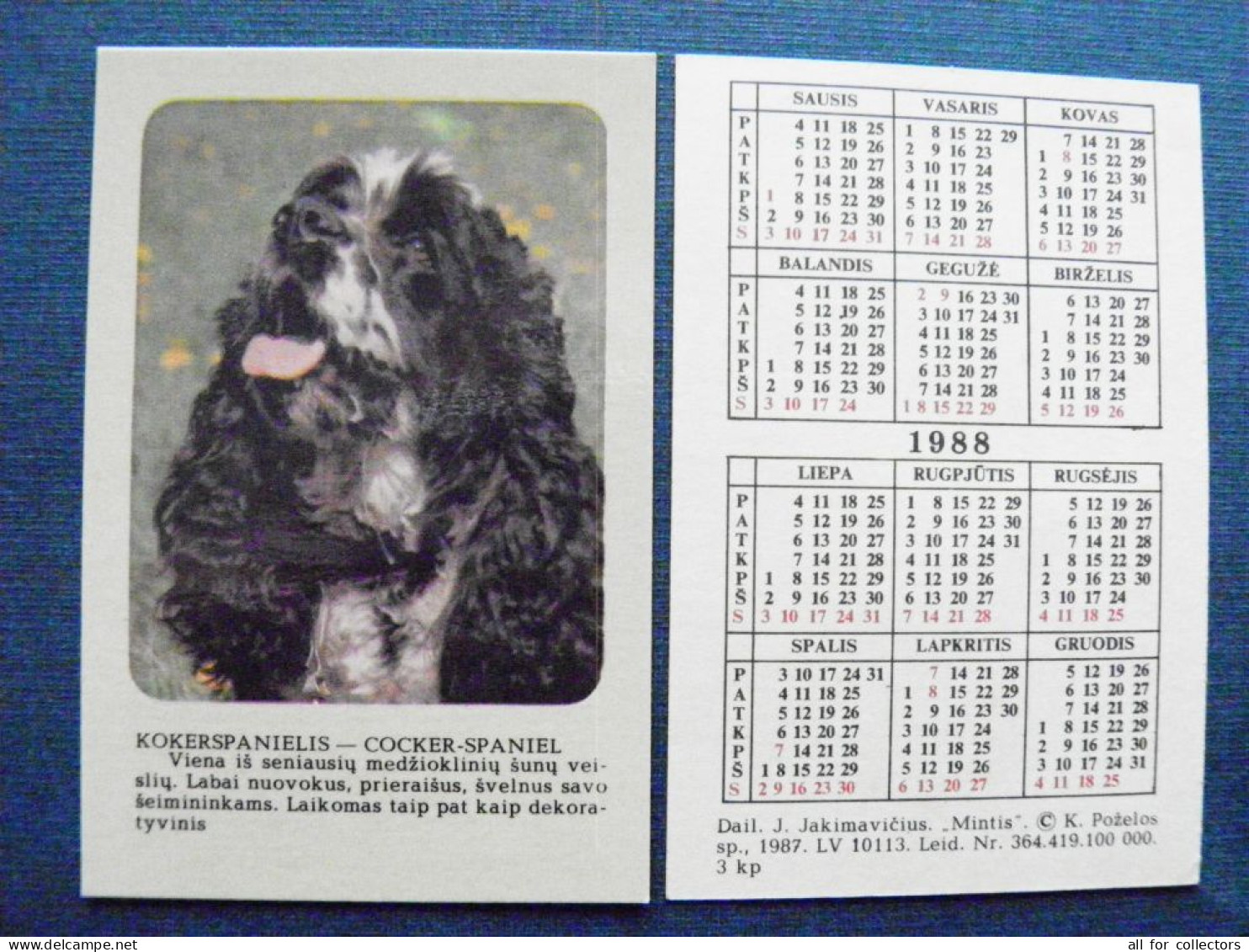 Small Pocket Calendar Lithuania 1988 Animals Dog Cocker Spaniel - Petit Format : 1981-90