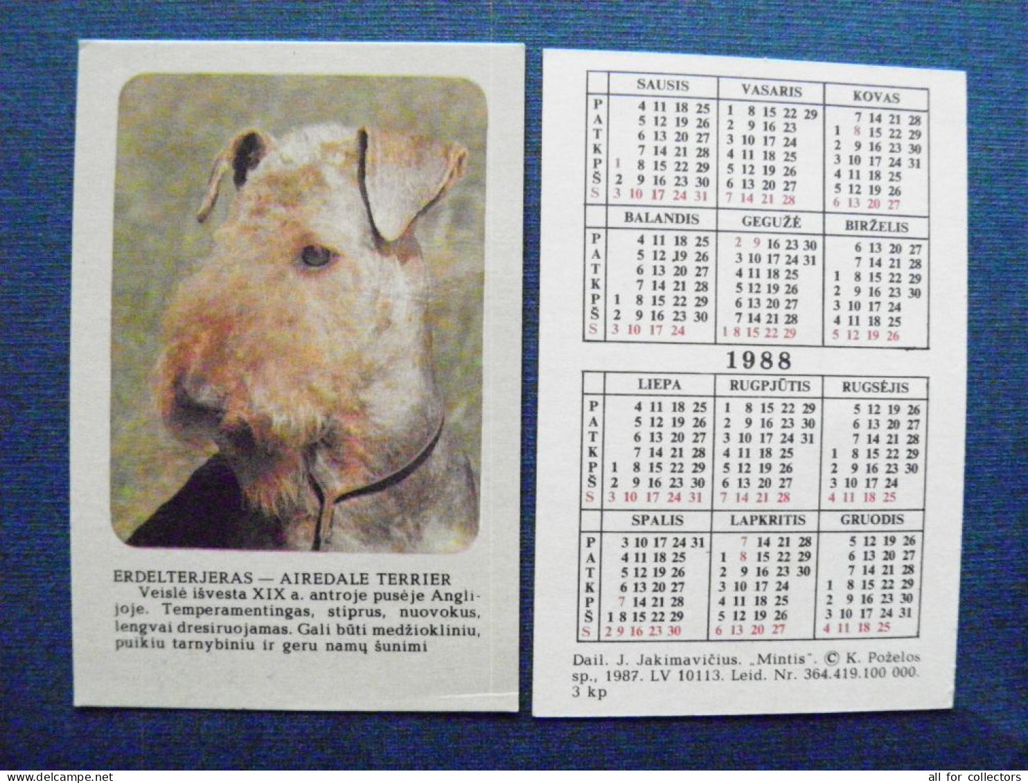 Small Pocket Calendar Lithuania 1988 Animals Dog Airedale Terrier - Petit Format : 1981-90