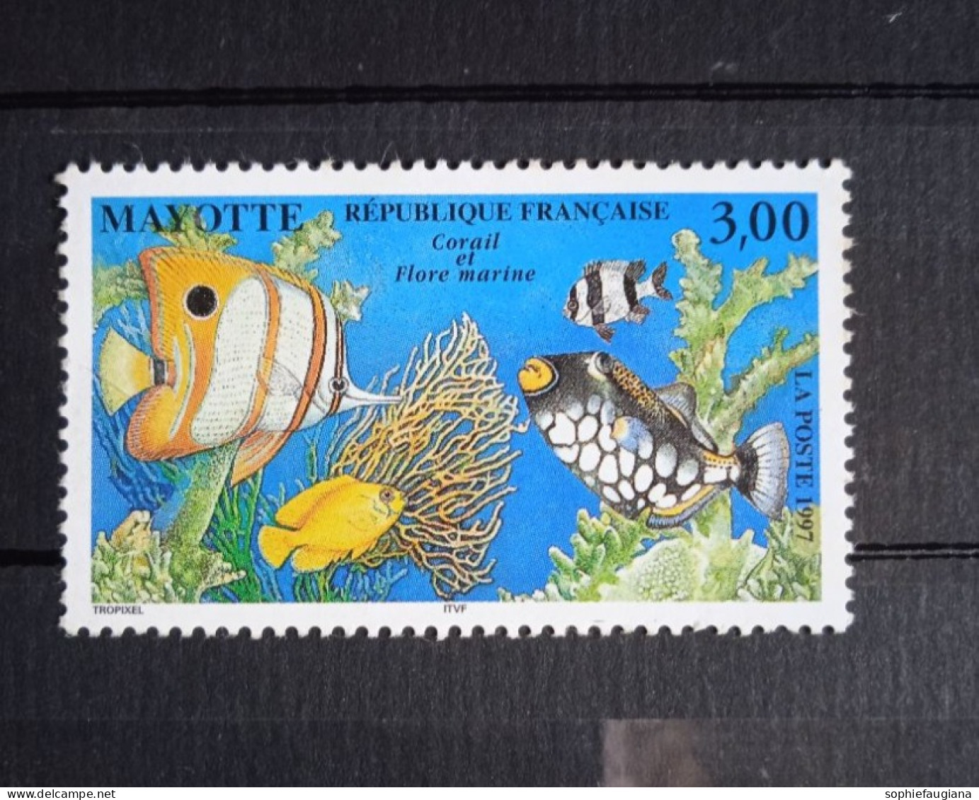 Mayotte N°51 Neuf Corail Et Flore Marine - Unused Stamps