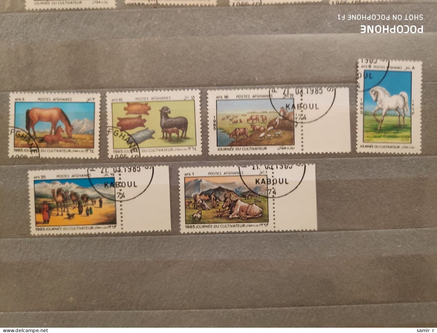 1985	Afghanistan	Animals (F84) - Afghanistan