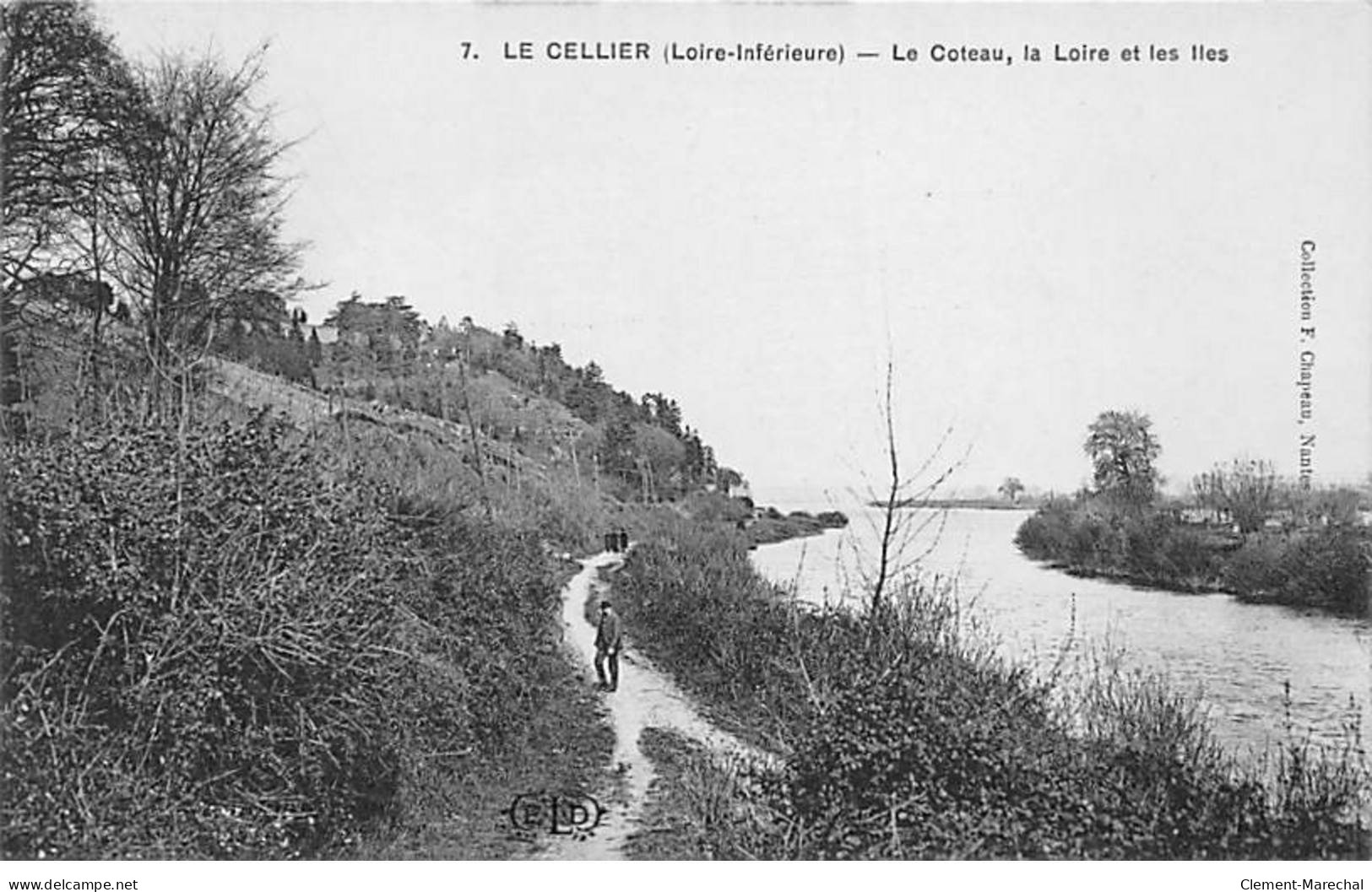 LE CELLIER - Le Coteau, La Loire Et Les Iles - Très Bon état - Le Cellier