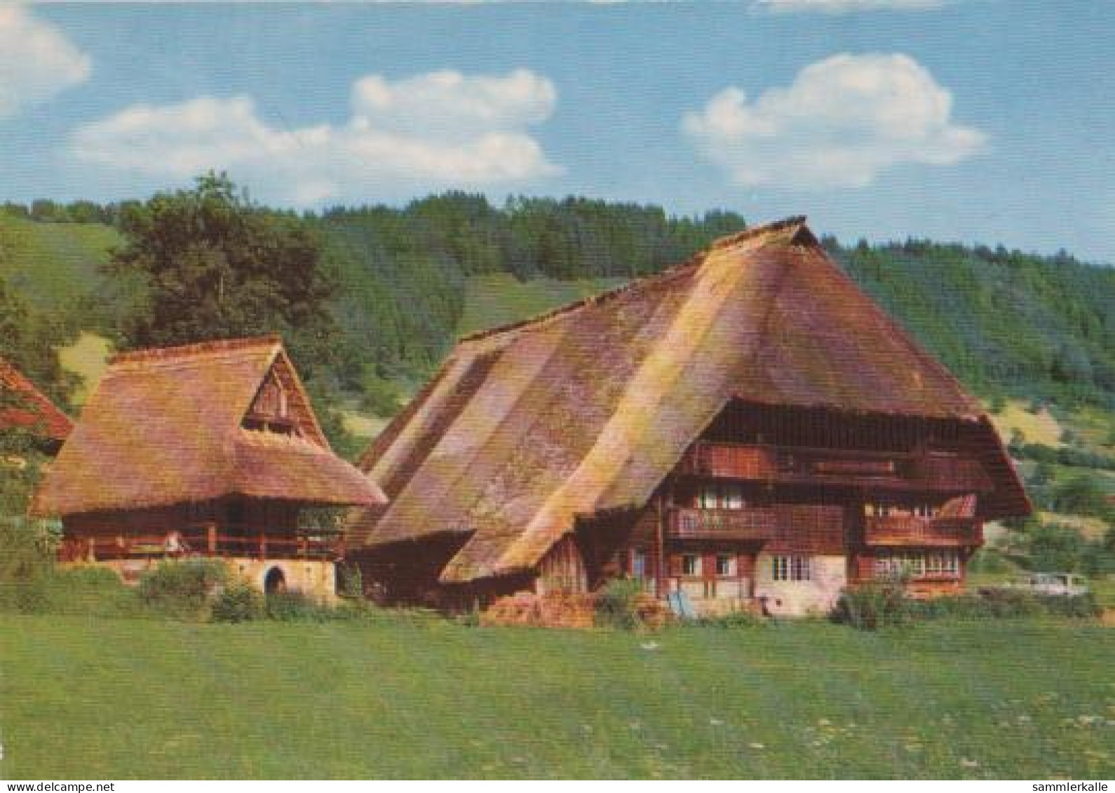 19051 - Gutach - Haus Im Scharzwald - Ca. 1975 - Gutach (Schwarzwaldbahn)