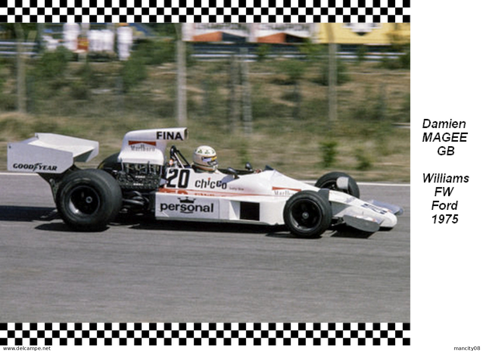 Damien  Magee -  Williams  FW  1975 - Grand Prix / F1