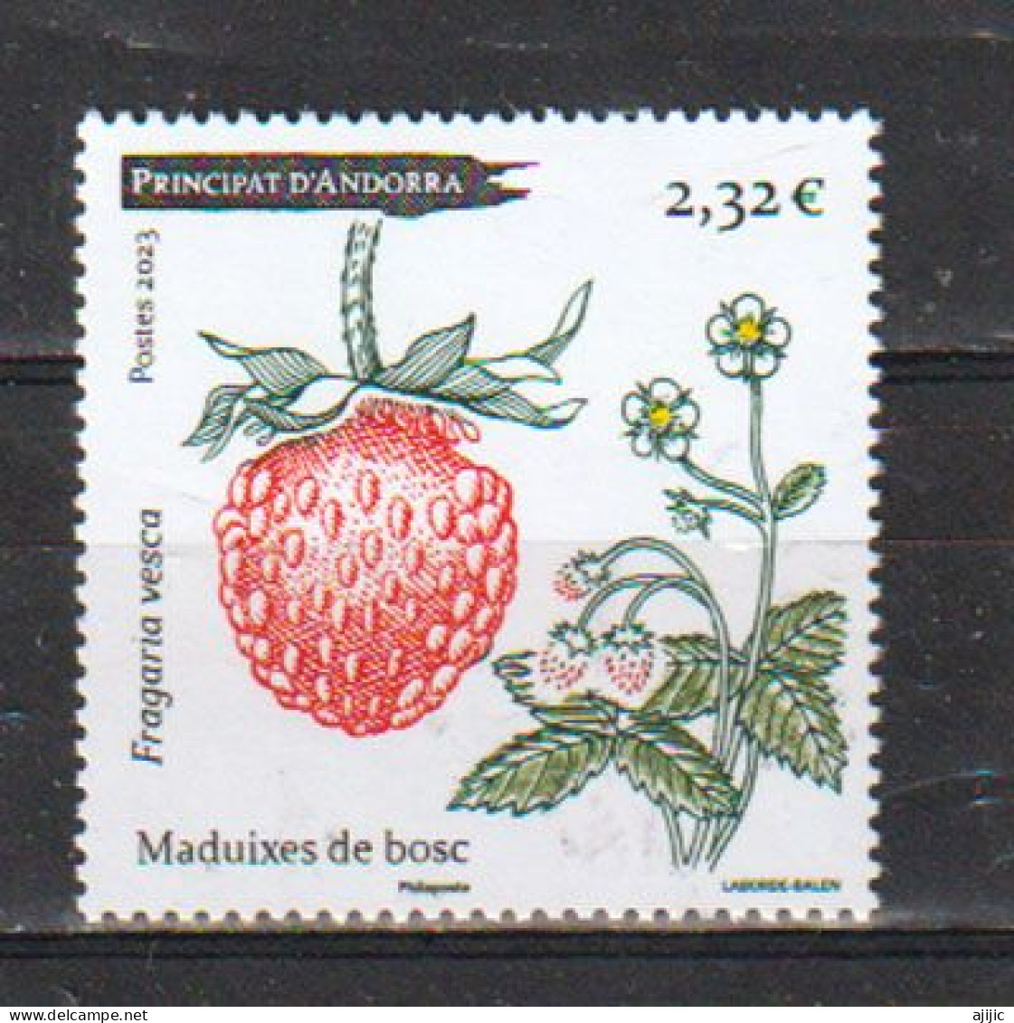 2023. ANDORRA. Wild Strawberry / Fraise Des Bois. Timbre Neuf ** Haute Faciale - Fruits