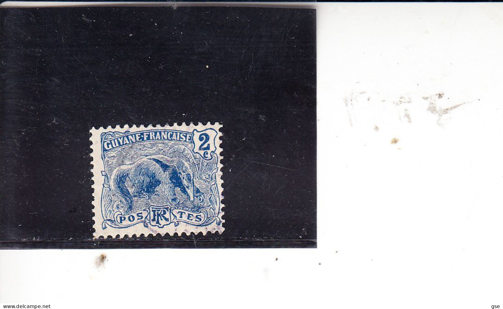 GUYANA FRANCESE  1904-7 - Yvert  50° - Formichiere - Used Stamps
