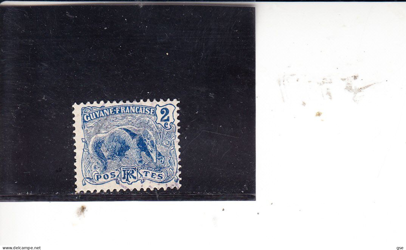 GUYANA FRANCESE  1904-7 - Yvert  50° - Formichiere - Usati