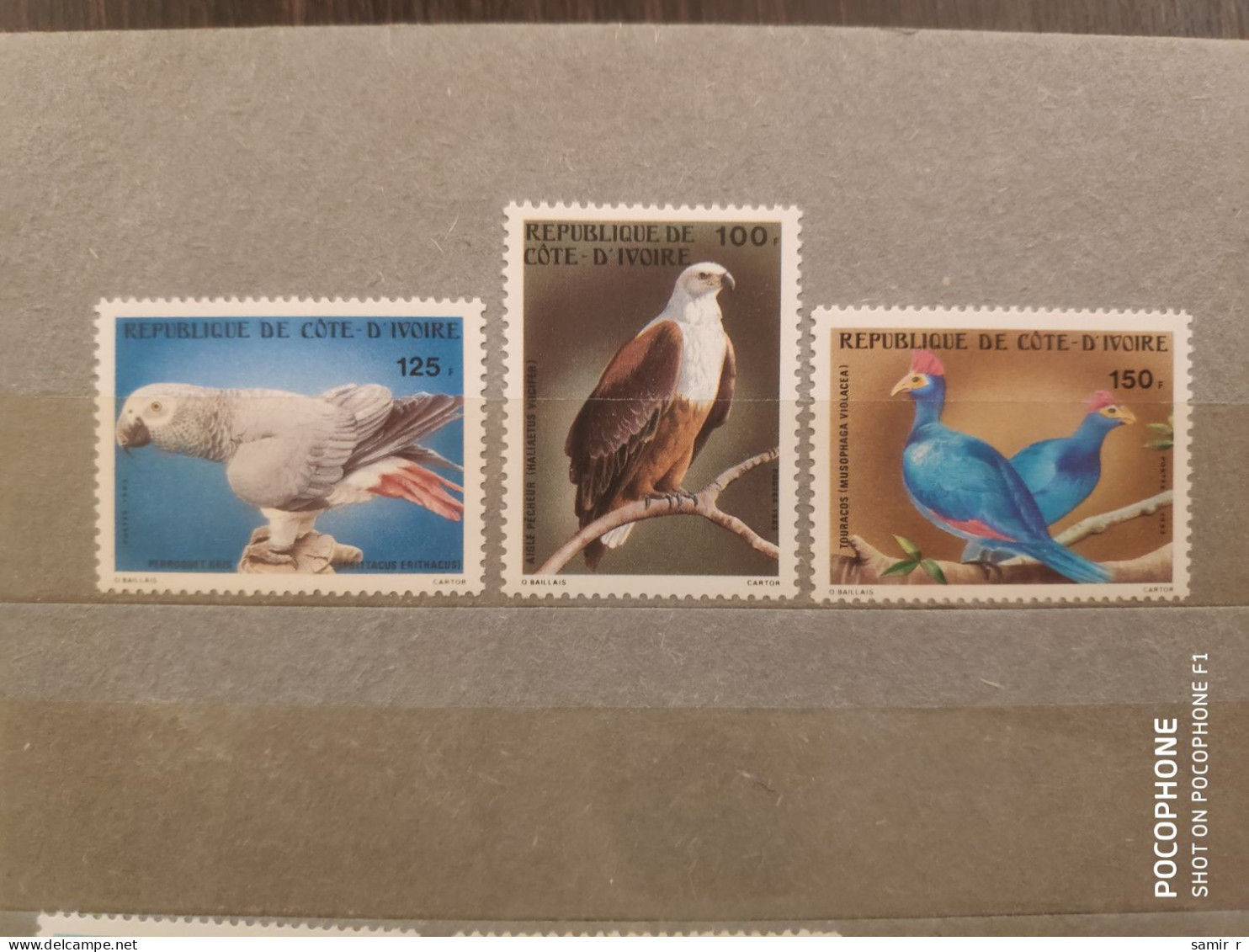 Ivory Coast	Birds (F84) - Côte D'Ivoire (1960-...)