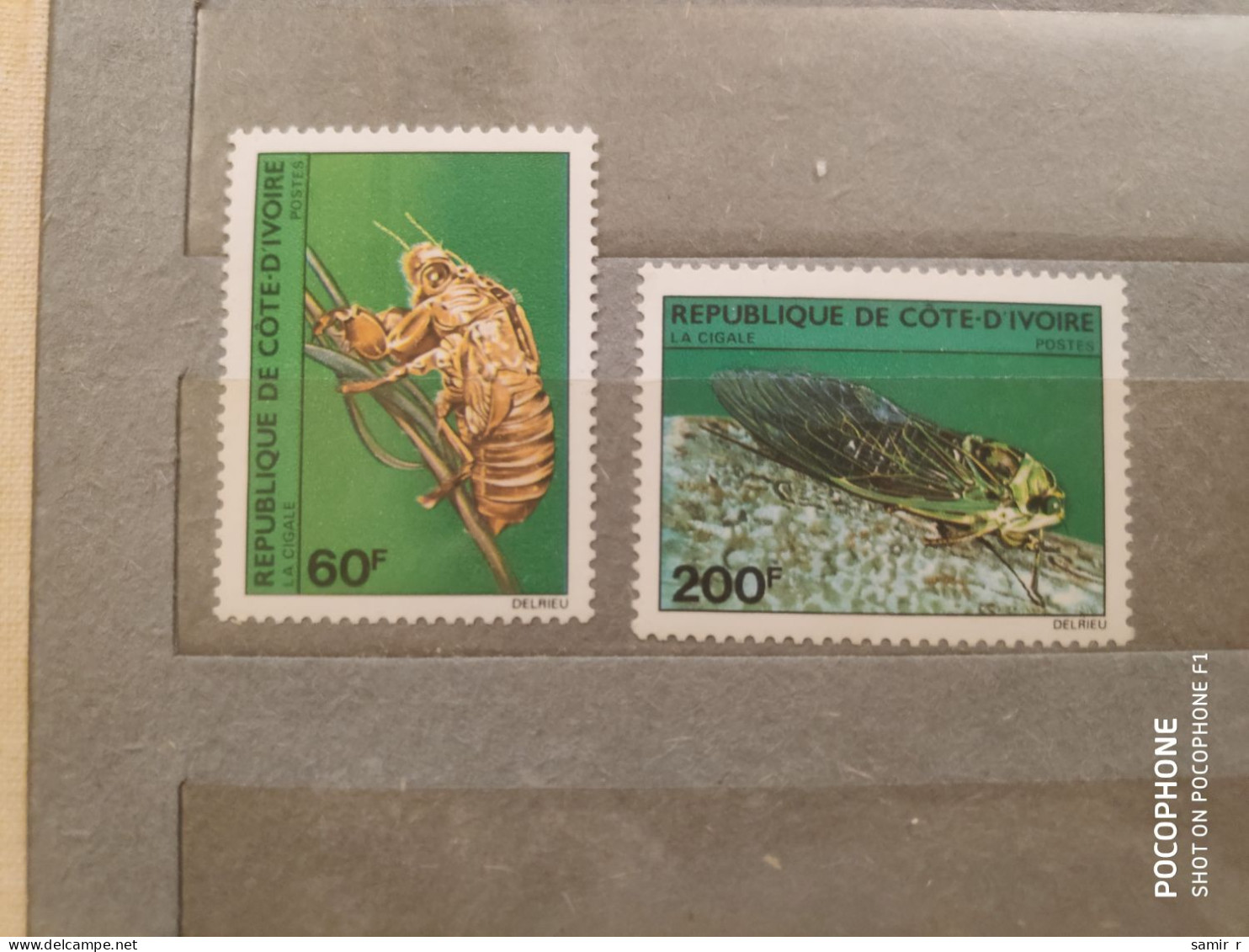 Ivory Coast	Insects (F84) - Côte D'Ivoire (1960-...)