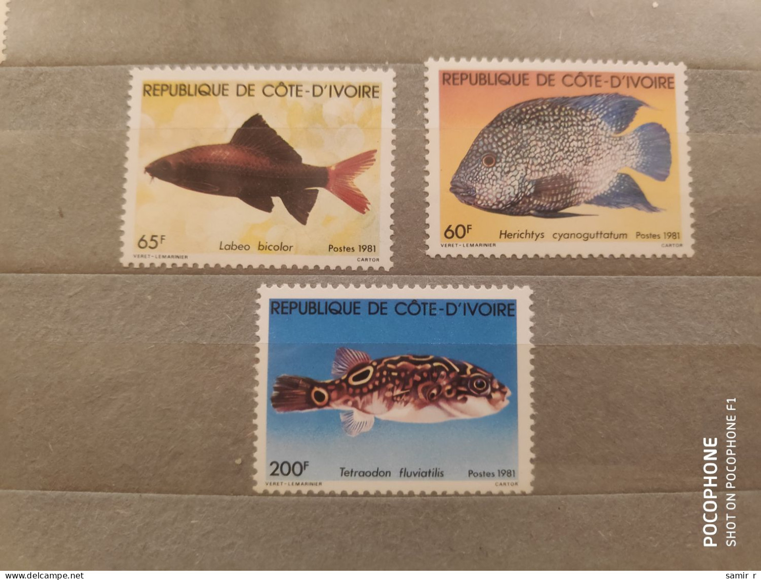 1981	Ivory Coast	Fishes (F84) - Côte D'Ivoire (1960-...)