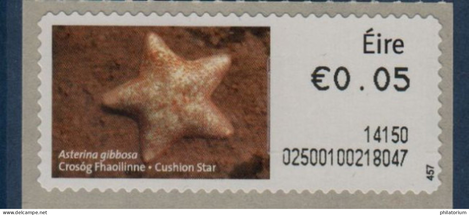 Eire, Irlande, **, Yv D 43, Mi 43, SG M 39, étoile De Mer (Asterina Gibbosa), - Ungebraucht