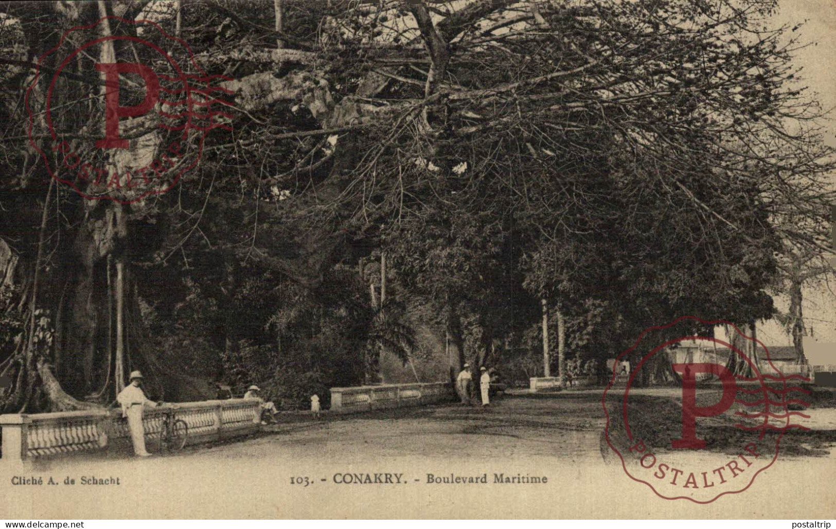 GUINEA. GUINEE FRANÇAISE. CONAKRY.  BOULEVARD MARITIME. - Guinée Française