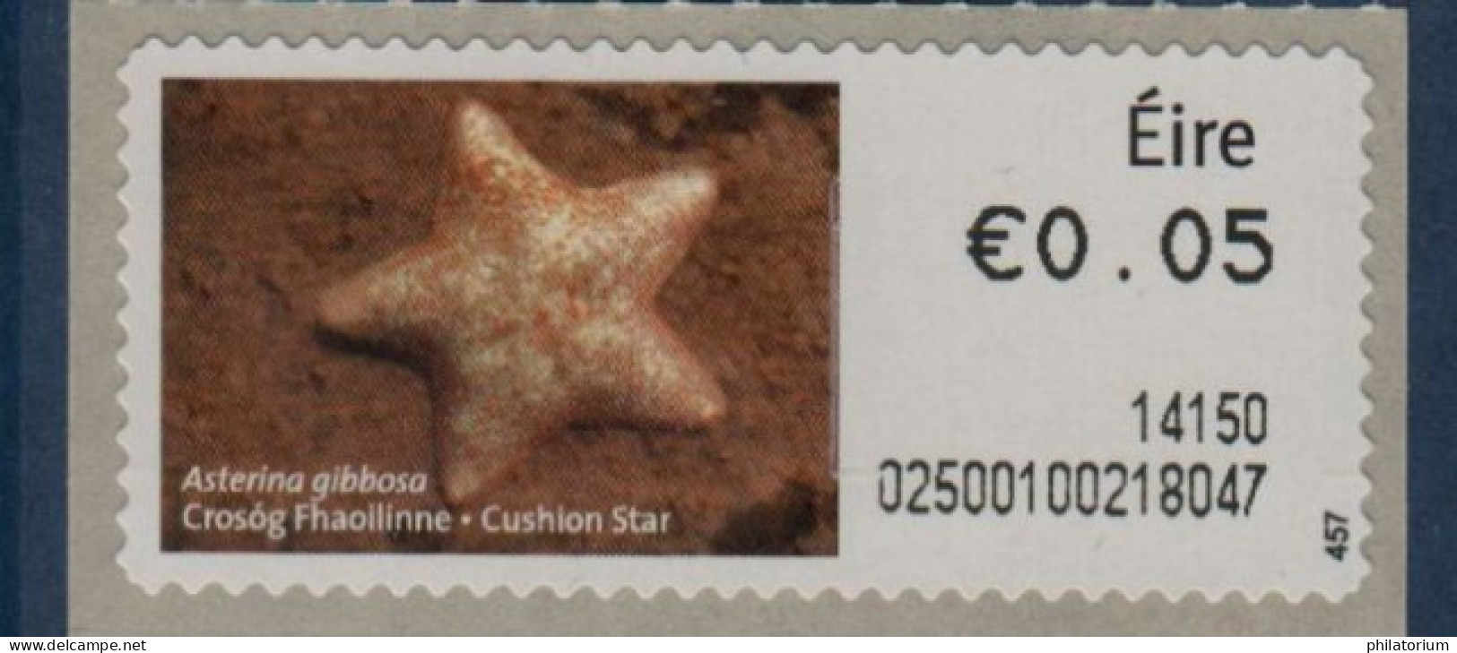 Eire, Irlande, **, Yv D 43, Mi 43, SG M 39, étoile De Mer (Asterina Gibbosa), - Marine Life