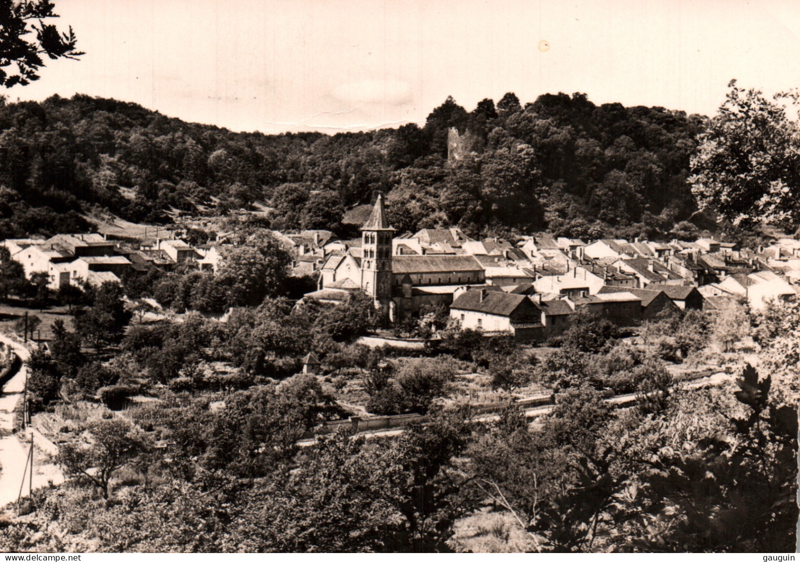 CPSM - VIGNORY - Le Village L'église Et Le Château - Edition Photo Monté - Vignory