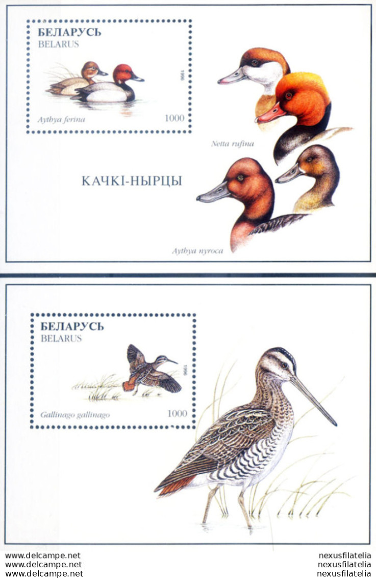 Fauna. Uccelli 1996. - Belarus