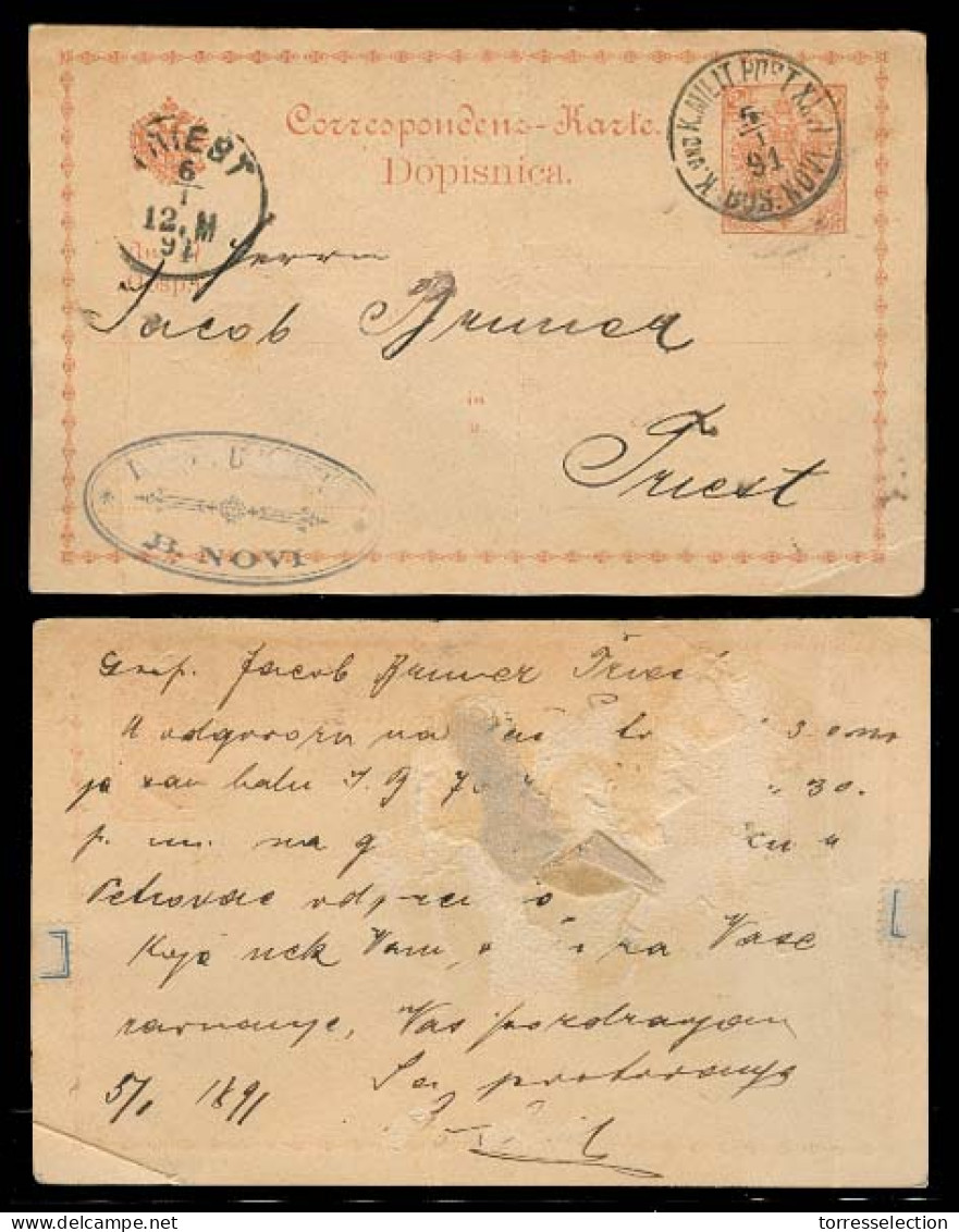 BOSNIA. 1891. B. Novi - Triest. 25 Brown Fine Print Stat Card / Military Mail. Filing Crease. - Bosnie-Herzegovine