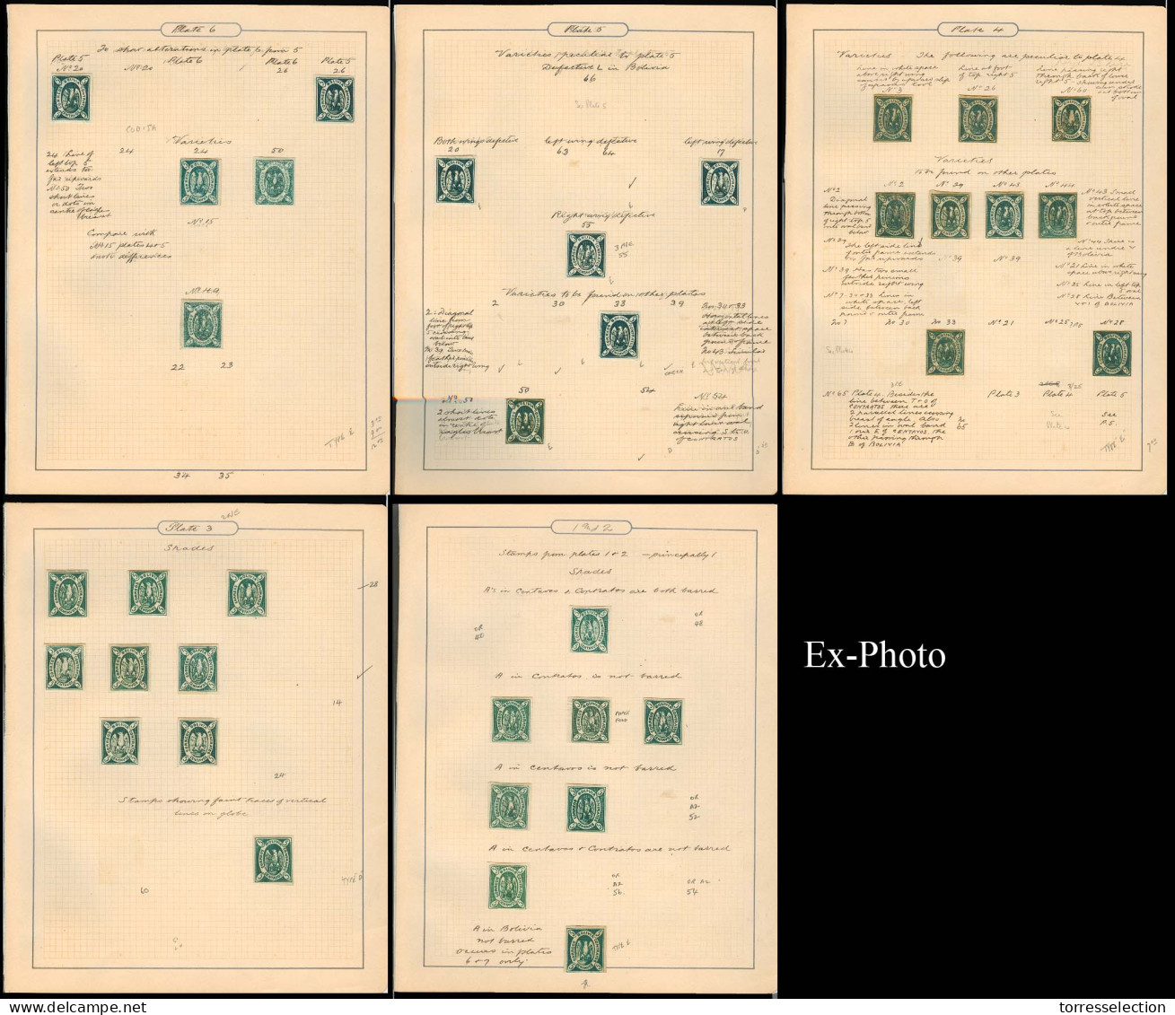 BOLIVIA. 1867. Yv 1/2 (x 54). 5c Green. Study Of Diff Plates And Varieties Of Some 54 Mint Stamps On Old Profusely Resea - Bolivien