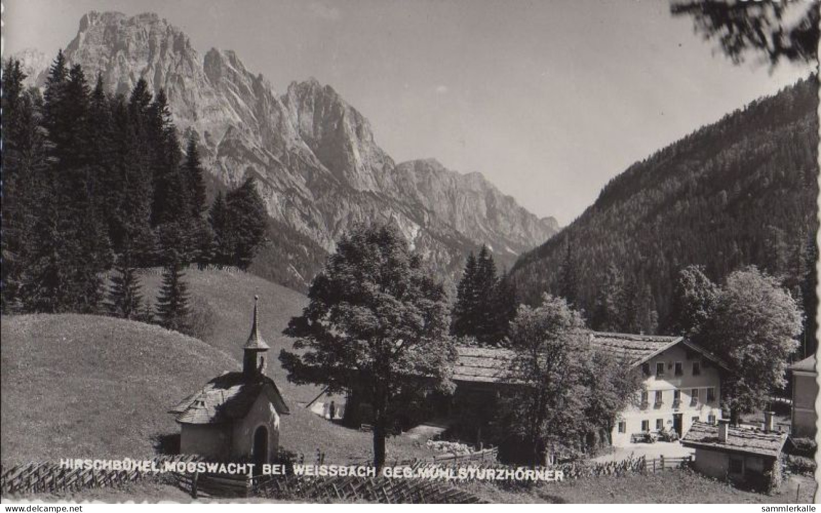 33903 - Österreich - Weissbach - Gasthaus Hirschbühel - Ca. 1955 - Zell Am See