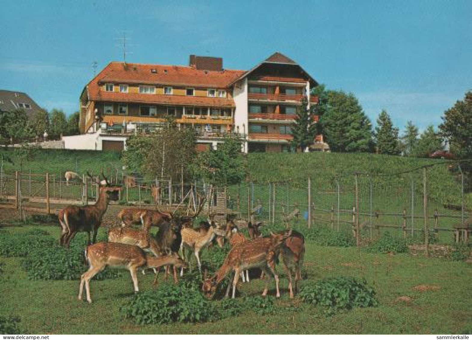 15988 - Häusern Schwarzwald - Hotel Waldlust - Ca. 1975 - Waldshut-Tiengen