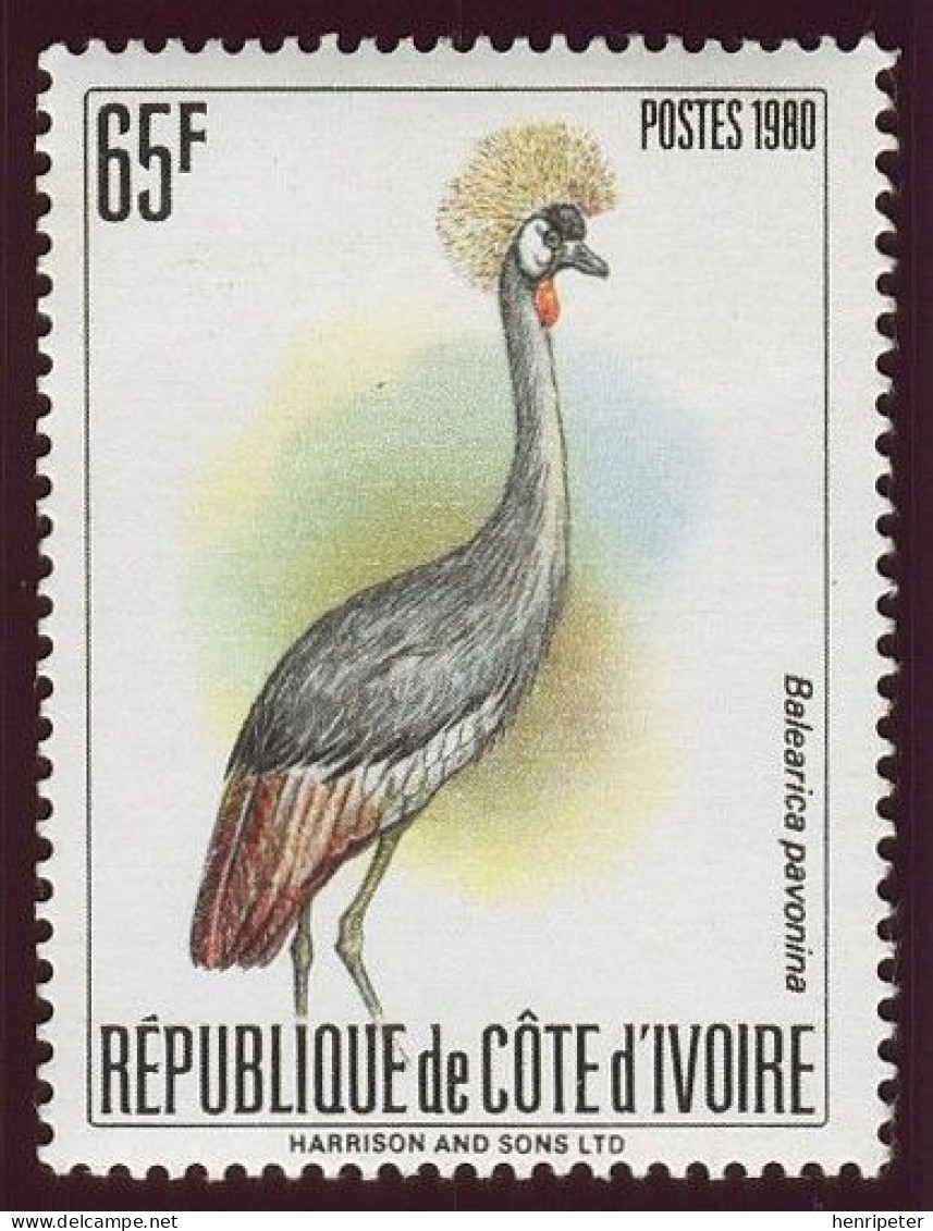 T.-P. Gommé Dentelé Neuf** - Oiseaux Et échassiers Grue Couronnée Balearica Pavonina - N° 565C (Yvert) - RCI 1980 - Côte D'Ivoire (1960-...)