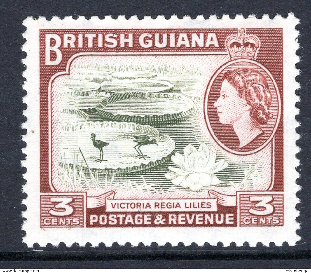 British Guiana 1963-65 QEII Pictorials - New Wmk. - 3c Water Lilies HM (SG 354) - Guyana Britannica (...-1966)