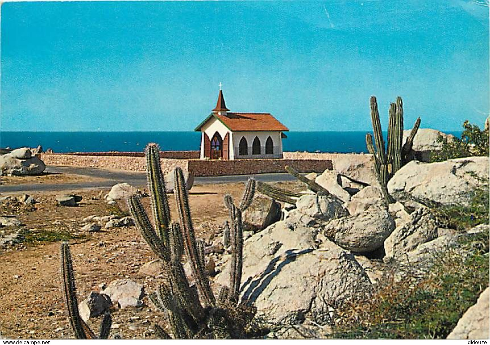 Fleurs - Plantes - Cactus - Antilles - Aruba - Pilgrims Chapel Of Alto Vista - CPM - Voir Scans Recto-Verso - Cactus