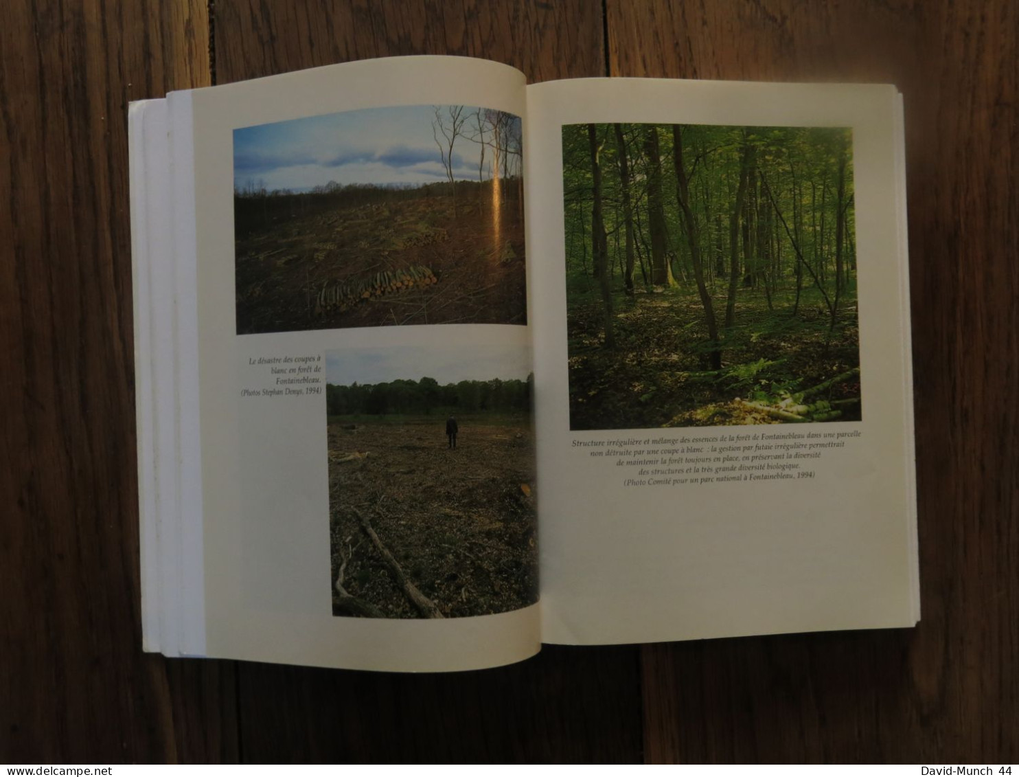 Les arbres qui cachent la forêt, La gestion forestière à l'épreuve de l'écologie de Didier Carbiener. Edisud. 1995