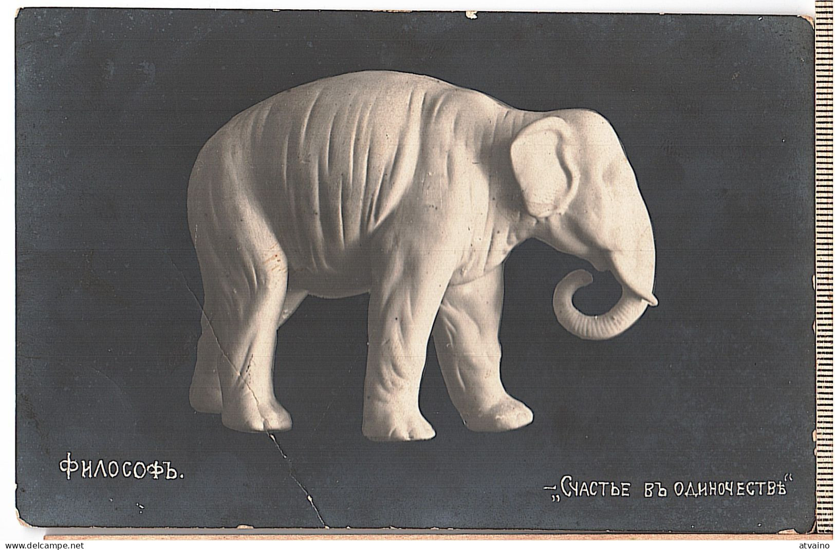 Russia. Happy ELEPHANT Figures Vintage PHOTO 1914 - Éléphants