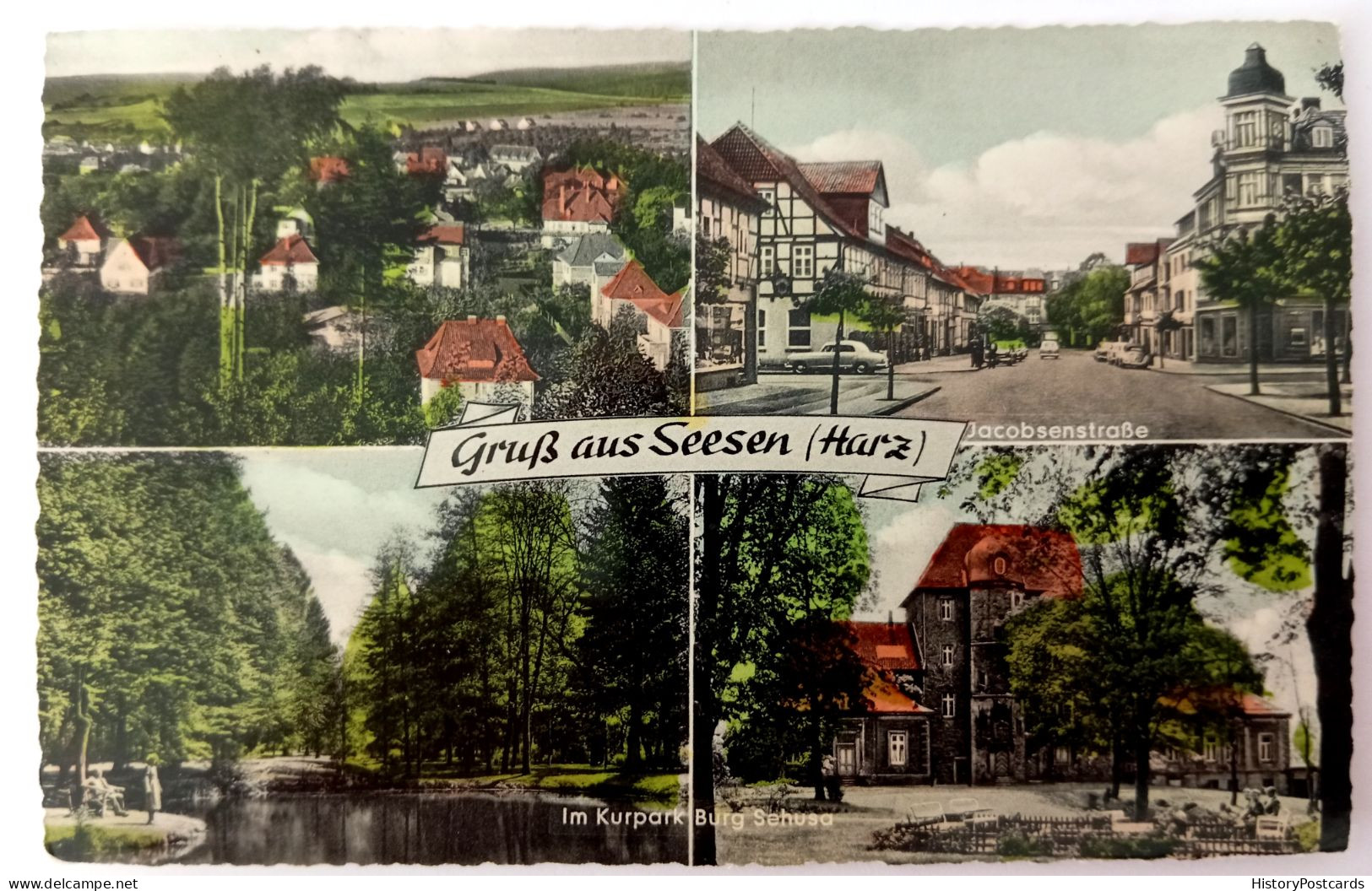 Gruss Aus Seesen, Jacobsenstraße, Burg Sehusa, Gesamtansicht, Ca. 1965 - Seesen