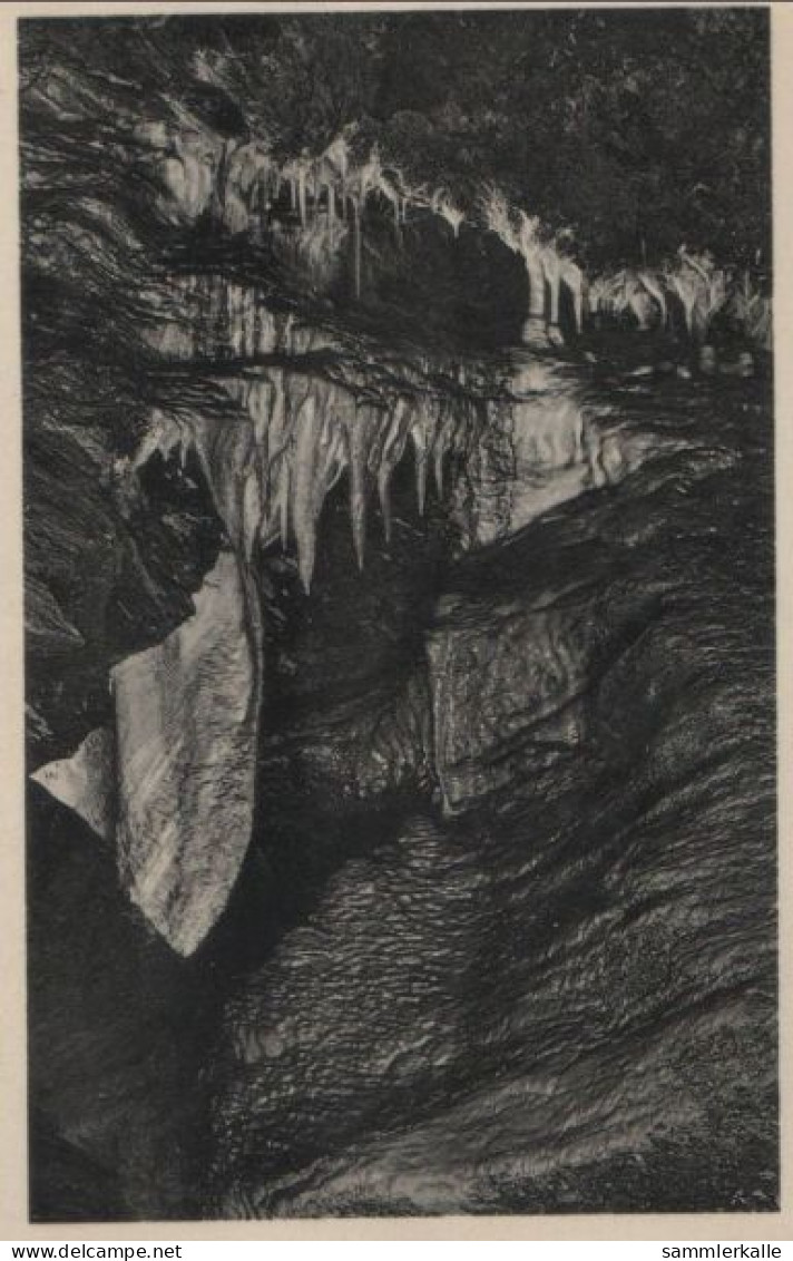 62635 - Syrau - Elefantenohr Der Drachenhöhle - 1933 - Syrau (Vogtland)