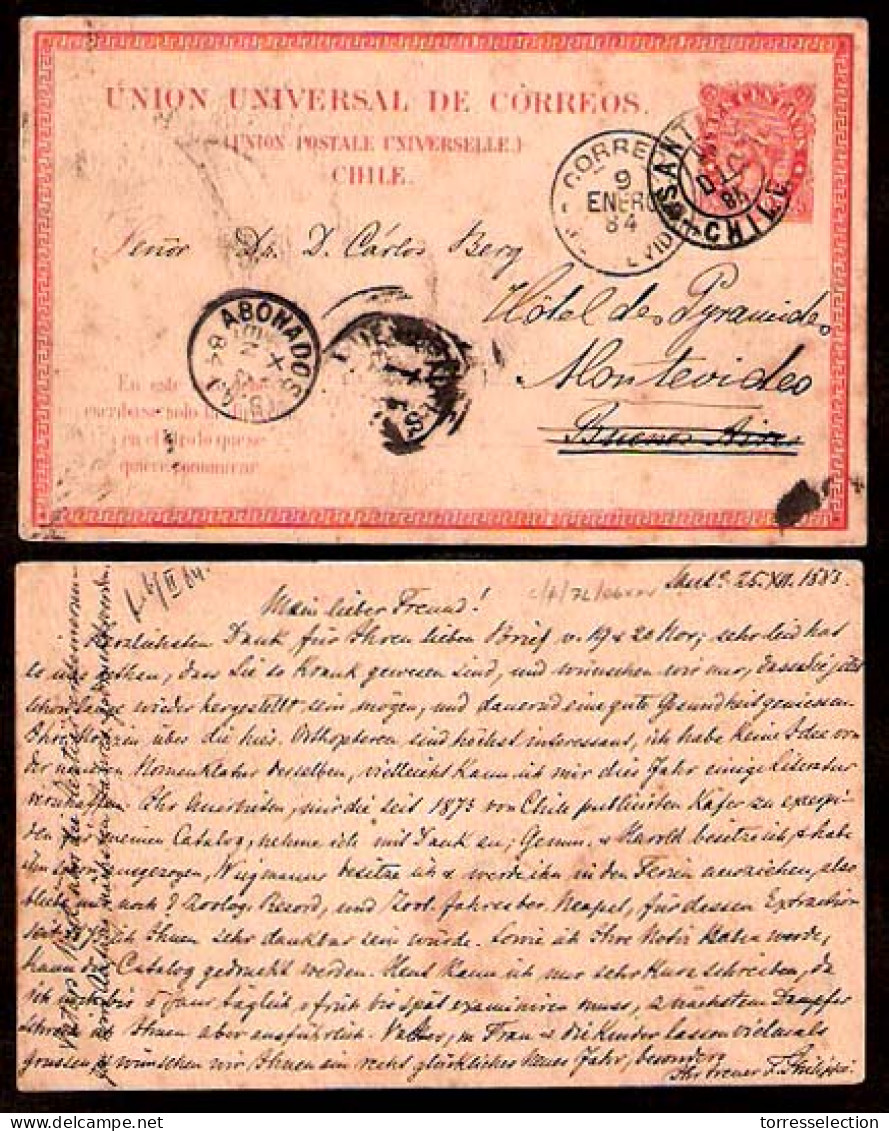 CHILE. 1883 (25 Dic) (Christas Day) Santiago - Argentina - Uruguay. 5c. Orange Stat Card. V. Rare Used Item. Genuine Com - Chile