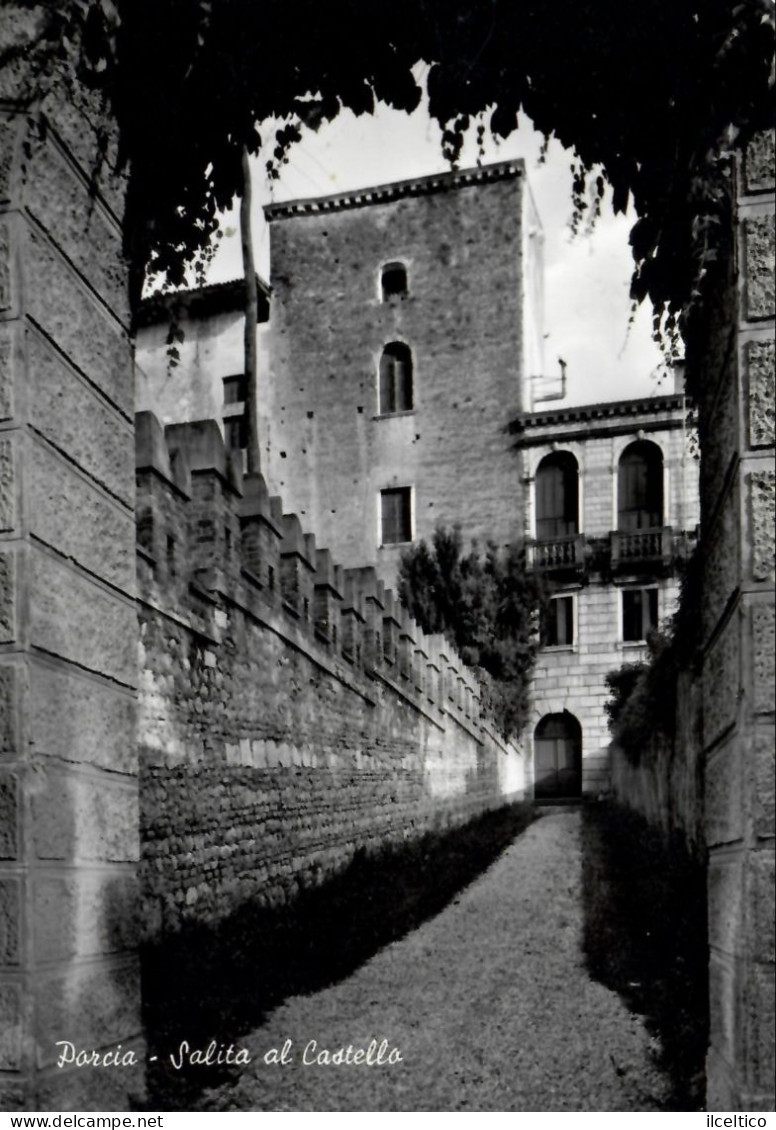 PORCIA - SALUTI  DAL  CASTELLO - 1966 - Pordenone