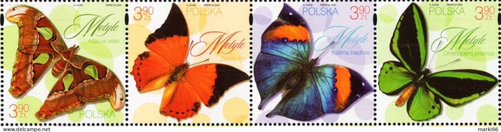 Poland - 2024 - Butterflies - Mint Stamp Set - Unused Stamps