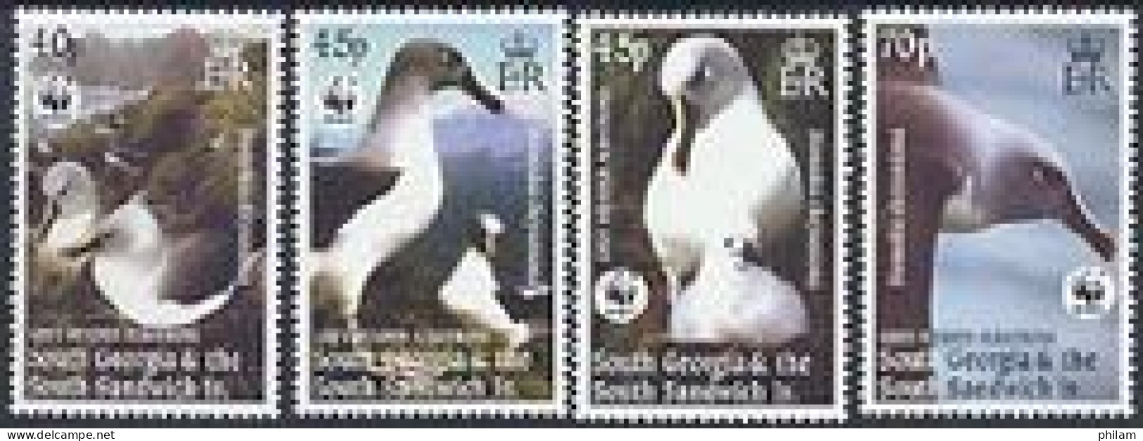 FALKLAND DEPENDANCES 2003 - W.W.F. - L'albatros à Tête Grise - 4 V. - Palmípedos Marinos