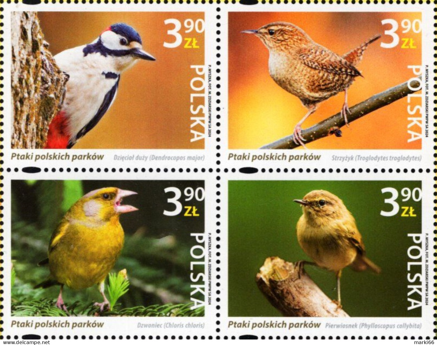 Poland - 2024 - Birds Of Polish Parks - Mint Stamp Set - Ungebraucht