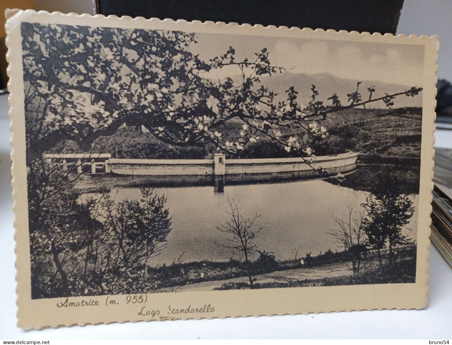 Cartolina Amatrice Provincia Rieti , Lago Scandarella 1951 - Rieti