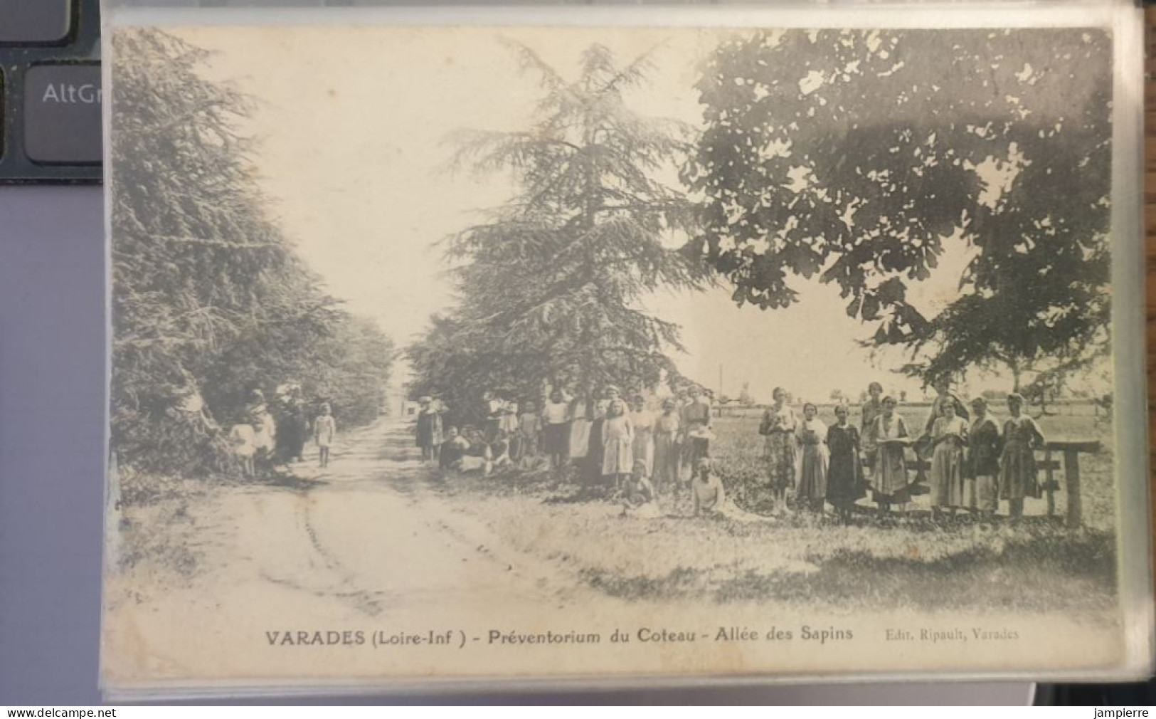 Varades (Loire-Inf.) - Préventorium Du Coteau - Allée Des Sapins - Varades