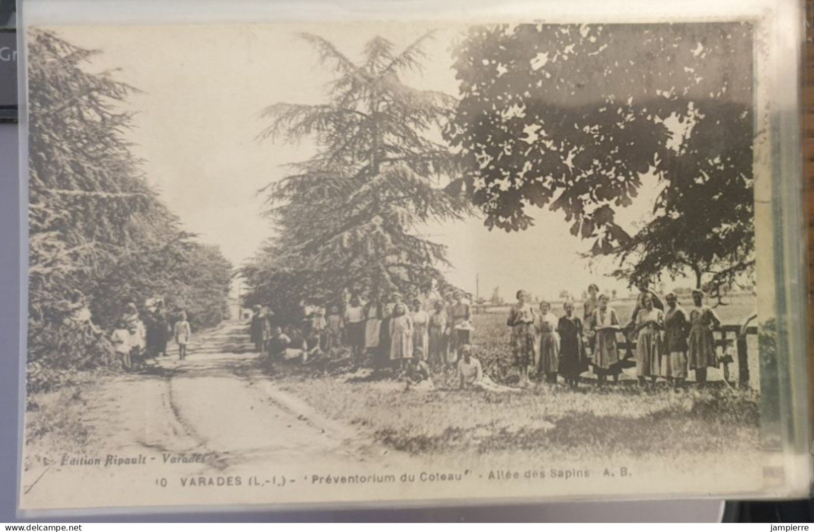 10 Varades (L.-I.) - Préventorium Du Coteau - Allée Des Sapins - Varades