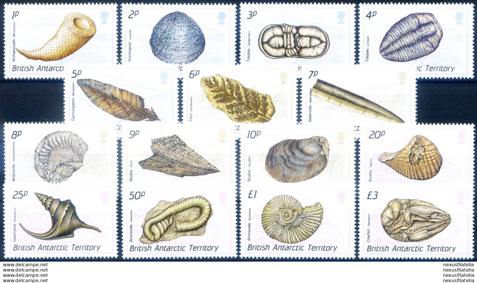 Definitiva. Conchiglie 1990. - Andere & Zonder Classificatie