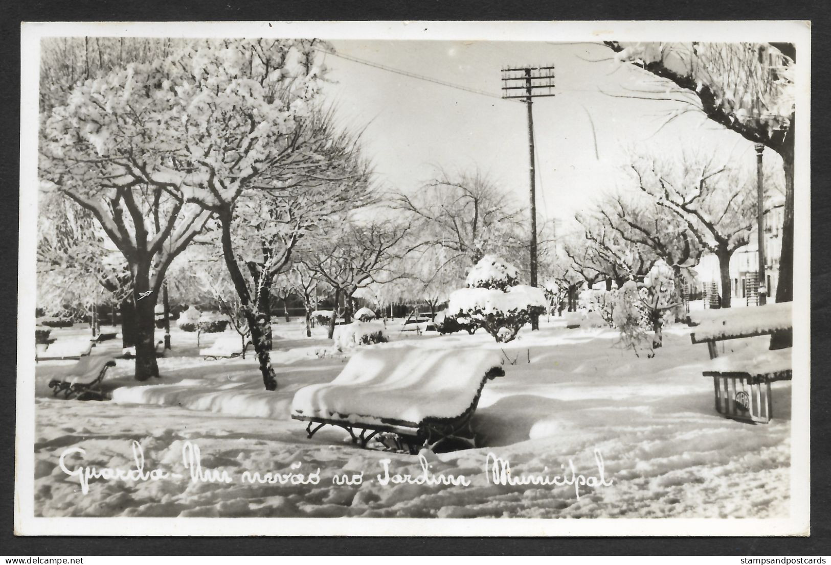 Portugal Guarda Um Nevão No Jardim Municipal Postal Ed. Foto Herminios Carte Postale Photographique Niège Postcard Snow - Guarda