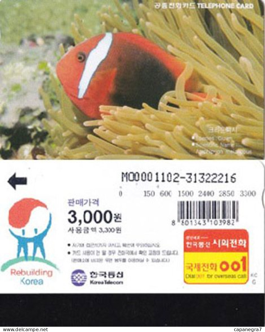 Fish, Korea - Corée Du Sud