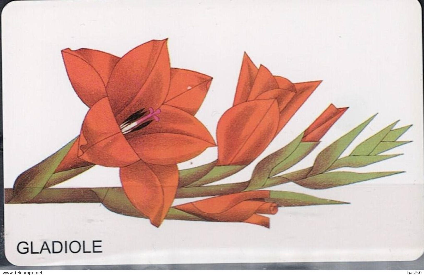 Deutschland - P  PD-SERIES: Blume "Gladiole" - USED -  1998 - P & PD-Series: Schalterkarten Der Dt. Telekom