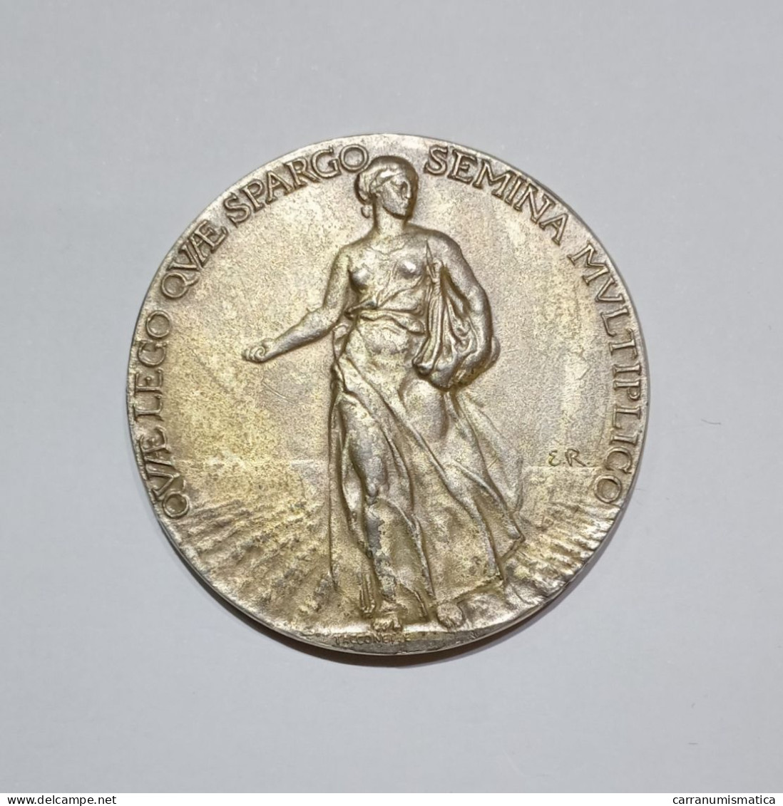 [NC] CASSA Di RISPARMIO Di TORINO MEDAGLIA PREMIO - (43 Mm / Argento) - Italy