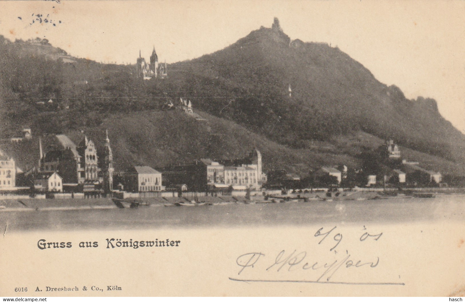 4930 25 Gruss Aus Königswinter. 1901.  - Koenigswinter