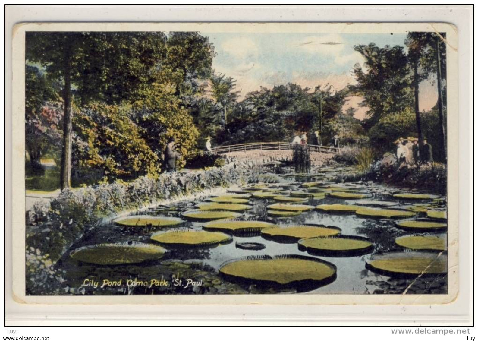 LILY POND, Como Park, St. Paul , Minn - St Paul